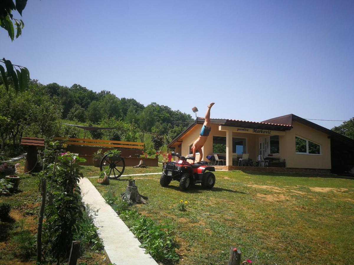 "Porodica Markovic" Borsko Jezero Beljevina Exterior foto