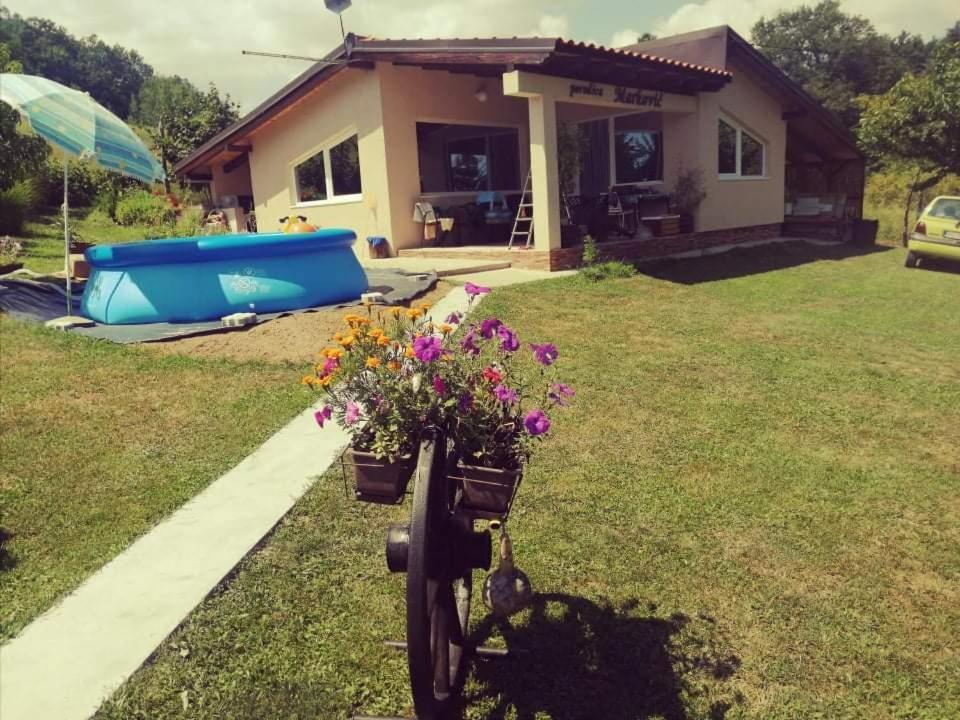 "Porodica Markovic" Borsko Jezero Beljevina Exterior foto